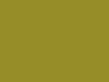 Robison-Anton Polyester - 5842 Foliage Green